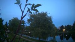 Rosarium Webcam