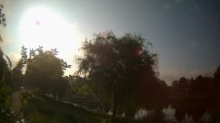 Rosarium Webcam