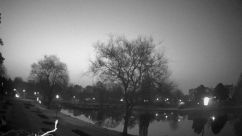 Rosarium Webcam