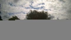 Rosarium Webcam