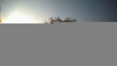 Rosarium Webcam