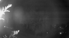 Rosarium Webcam