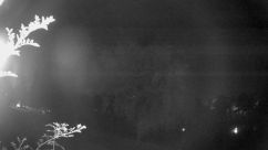 Rosarium Webcam
