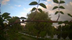 Rosarium Webcam