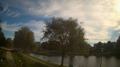 Rosarium Webcam