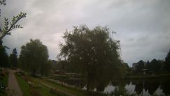 Rosarium Webcam