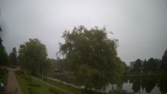 Rosarium Webcam