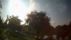 Rosarium Webcam