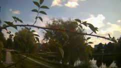 Rosarium Webcam