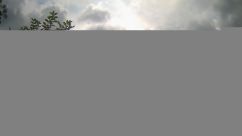 Rosarium Webcam