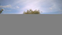 Rosarium Webcam