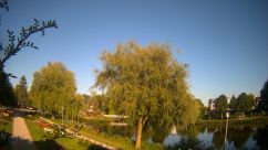Rosarium Webcam