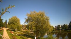 Rosarium Webcam