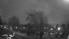 Rosarium Webcam