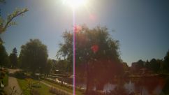 Rosarium Webcam