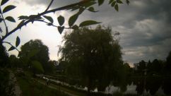 Rosarium Webcam