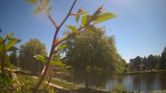 Rosarium Webcam