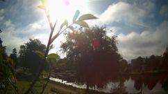 Rosarium Webcam