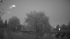 Rosarium Webcam