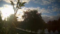 Rosarium Webcam