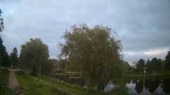 Rosarium Webcam
