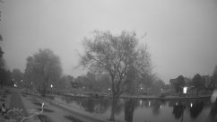 Rosarium Webcam