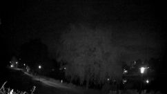 Rosarium Webcam