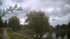 Rosarium Webcam