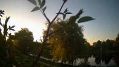 Rosarium Webcam