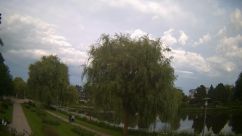 Rosarium Webcam
