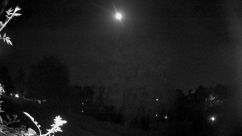 Rosarium Webcam