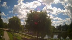Rosarium Webcam