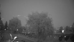 Rosarium Webcam