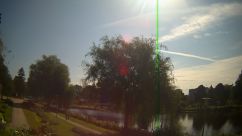 Rosarium Webcam