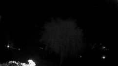 Rosarium Webcam