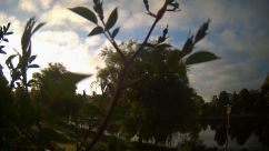 Rosarium Webcam