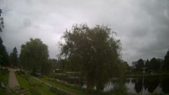Rosarium Webcam