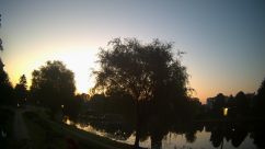 Rosarium Webcam