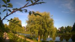 Rosarium Webcam