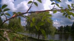 Rosarium Webcam