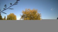 Rosarium Webcam
