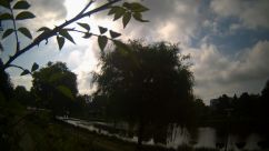 Rosarium Webcam