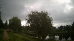 Rosarium Webcam