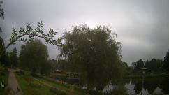 Rosarium Webcam