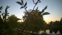 Rosarium Webcam