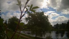 Rosarium Webcam