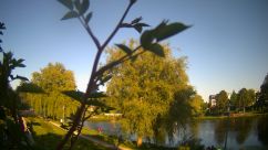 Rosarium Webcam