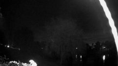 Rosarium Webcam
