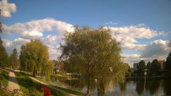 Rosarium Webcam