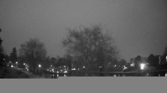 Rosarium Webcam